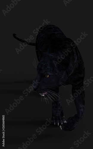 3d Illustration Black Panther Isolate On White Background With Clipping Path Black Tiger Buy This Stock Illustration And Explore Similar Illustrations At Adobe Stock Adobe Stock