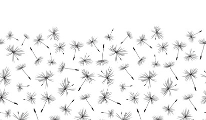 Wall Mural - Black and white Dandelion seeds seamless vector border repeat 