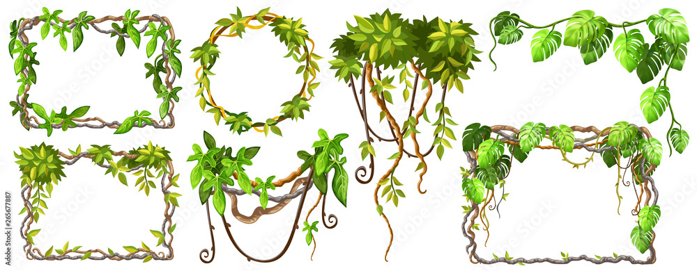 Liana branches and tropical leaves. Set game elements plants of jungle and cartoon frames with space for text. Isolated vector illustration on white background. - obrazy, fototapety, plakaty 