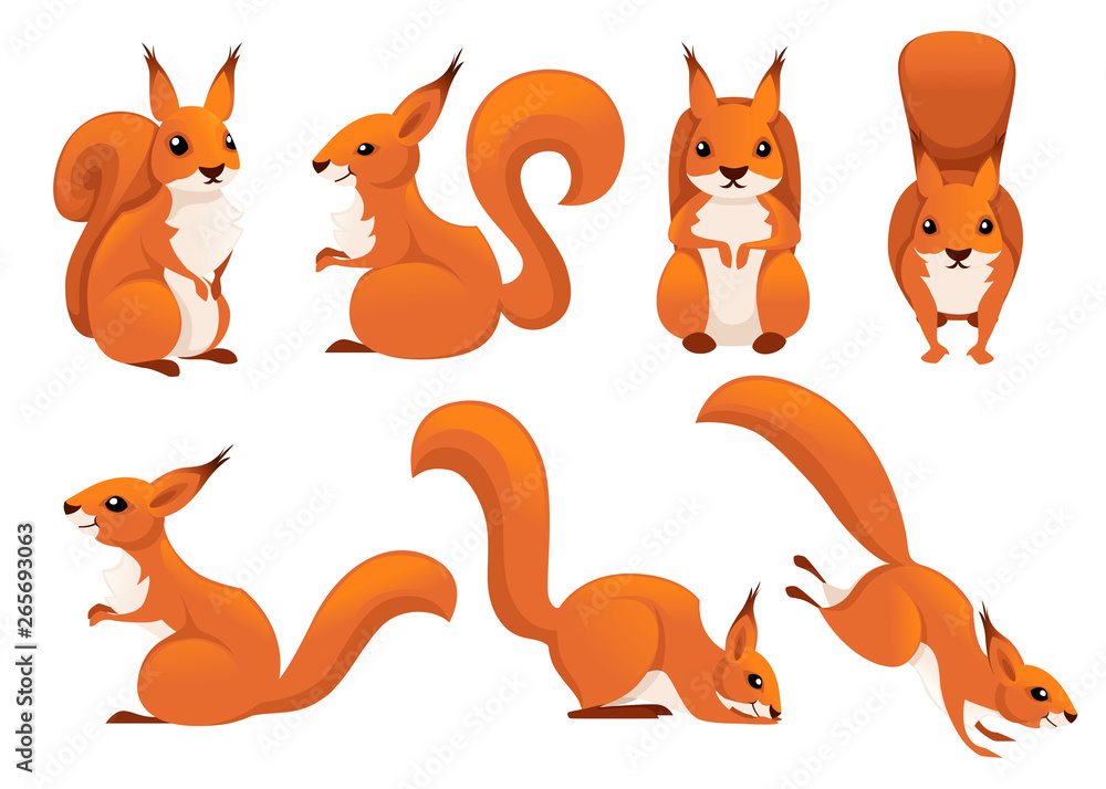 Cute cartoon squirrel set. Funny little brown squirrel collection. Emotion little animal. Cartoon animal character design. Flat vector illustration isolated on white background - obrazy, fototapety, plakaty 