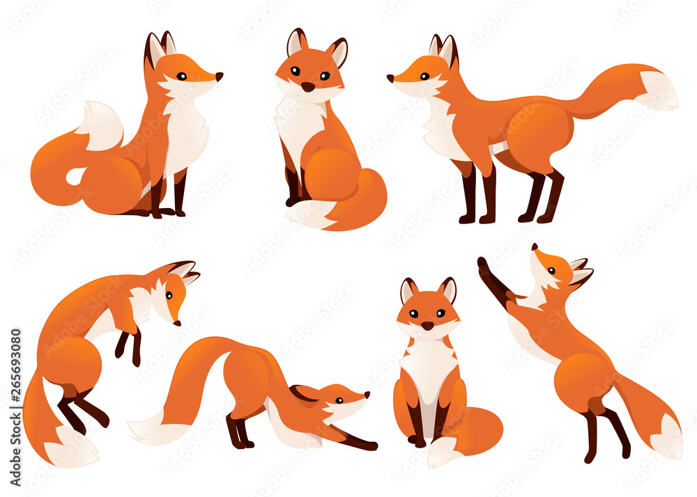 Cute cartoon fox set. Funny red fox collection. Emotion little animal. Cartoon animal character design. Flat vector illustration isolated on white background - obrazy, fototapety, plakaty 