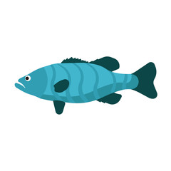 Fish side view vector icon sea animal illustration. Underwater cartoon ocean life. Blue wildlife flat exotic symbol