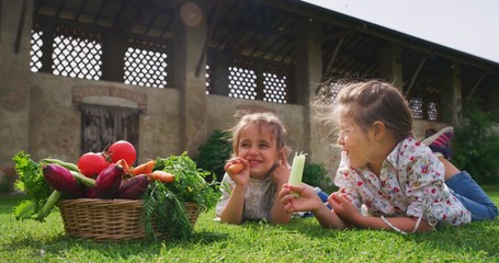 Portrait of a happy two little girls sisters are eating fresh just harvested vegetables and smiling in camera on a background of a countryside farm.