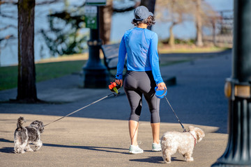 Shaped woman in tight leggings walks with two small dogs along the river embankment