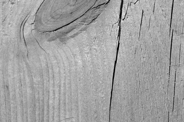 Texture of a wooden surface close up. Wooden background black and white