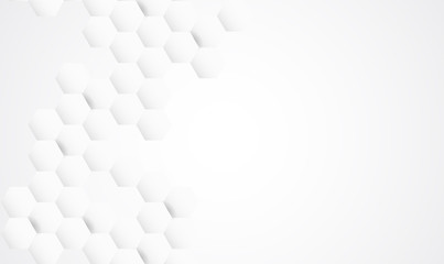 Abstract technology white and gray color modern background design, White geometric texture. Vector Illustration