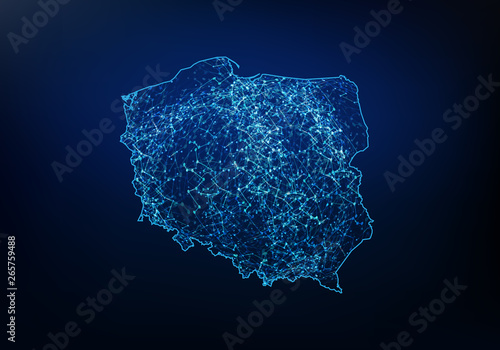 Obraz Dibond Streszczenie polskiej mapy sieci, Internetu i globalnego połączenia, drucianej siatki 3D wielokątna linia sieci, kula projektu, kropka i struktura. Wektorowa ilustracja eps 10.