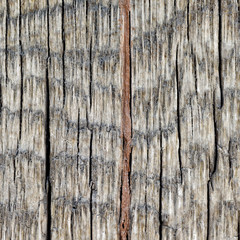 Rough weathered wooden plank texture