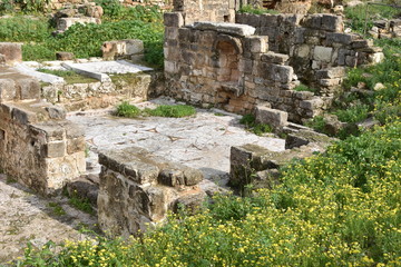 Wall Mural - Ancient Tile Mosaic Floor, Tyre Archaeological Site, Lebanon