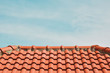 © EVGENII - tile roof on the background of the bare sky. copy space for your text