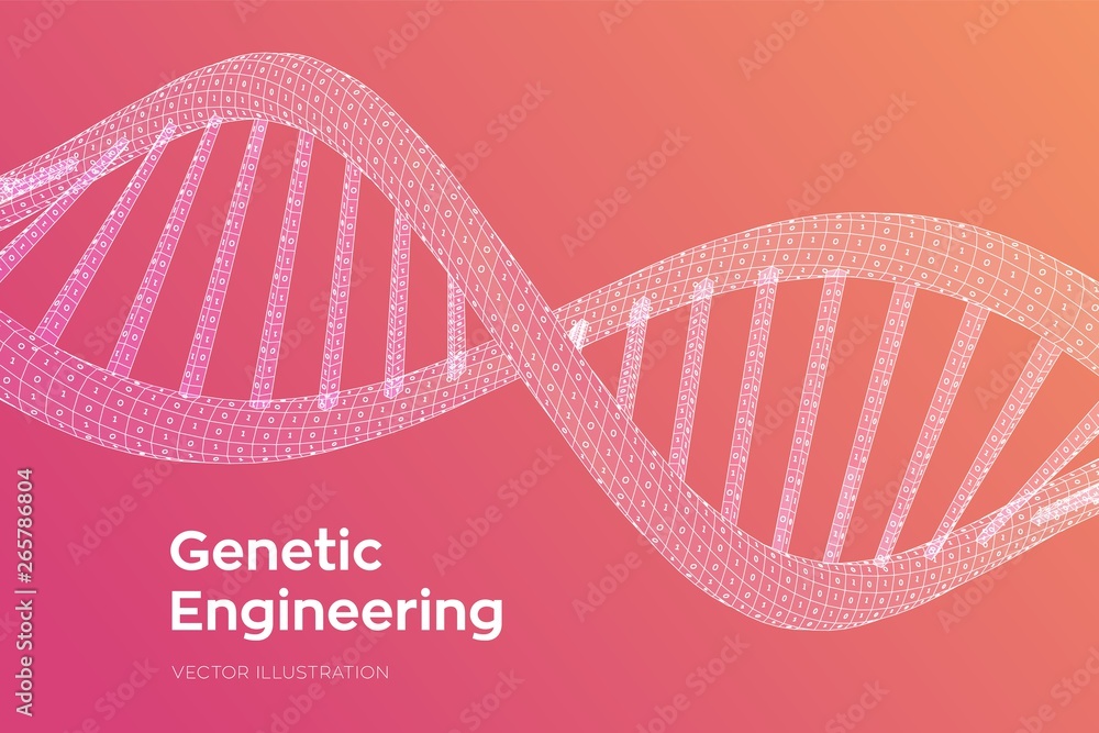 DNA sequence. Concept binary code human genome. Wireframe digital DNA molecules structure mesh. Artifical intelegence DNA code editable template. Science and Technology concept. Vector illustration.