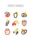 Fototapeta  - Forest berries icons set