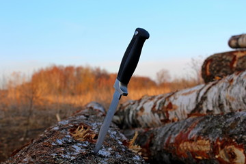 Cold weapons against the background of spring nature.