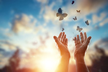 Hands Close Up On The Background Of A Beautiful Sunset, A Flock Of Butterflies Flies, Enjoying Nature. The Concept Of Hope, Faith, Religion, A Symbol Of Hope And Freedom.