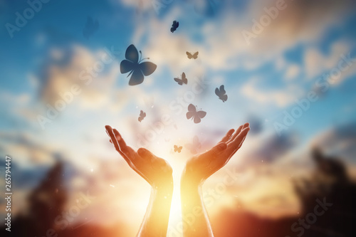 Cuadros en Lienzo Hands close up on the background of a beautiful sunset, a flock of butterflies flies, enjoying nature