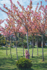 Wall Mural - park in spring