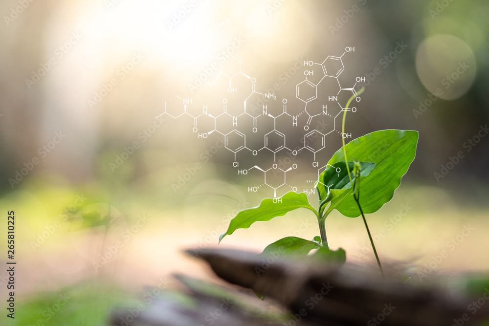 Biocomponents Background Plants background with biochemistry structure. Stock Photo | Adobe Stock