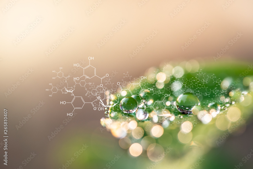 Plants background with biochemistry structure. Stock Photo | Adobe Stock