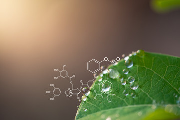 plants background with biochemistry structure.