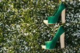 Fototapeta  - Green high-heeled shoes on green grass background. Concept shoes, leisure, travel, spring. Place for text.