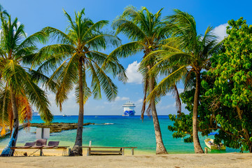 Grand Cayman, Cayman Islands, Regal Princess ships moored by George Town