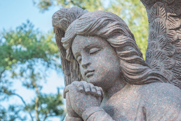 Angel statue in garden