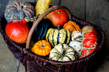 High Angle Close Up Of A Basket With A Variety Of Freshly Harvested Pumpkins.