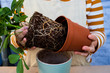 © Mint Images - Midsection of person repotting plant into a blue terracotta pot