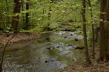 Spring time in Maryland parks