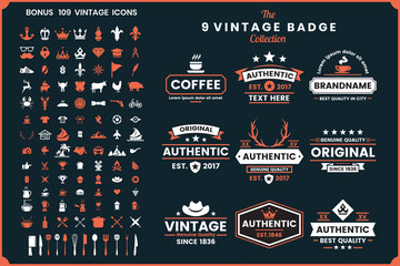 Vintage Retro Vector Logo for banner