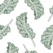 Kale seamless pattern vector.
