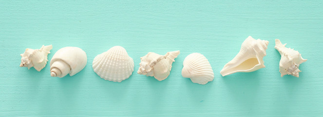 Wall Mural - vacation and summer concept with seashells over blue wooden background. Top view flat lay