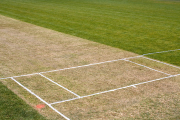 Cricket pitch sport grass field empty background