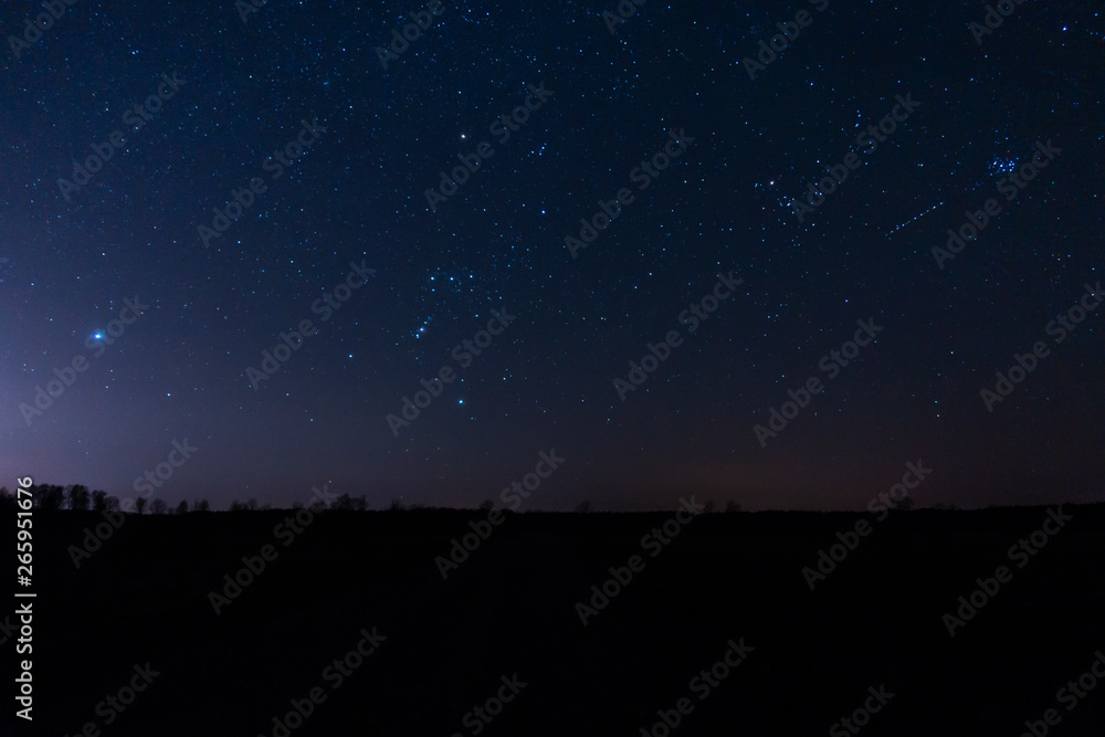 Orion nocne niebo zimowe niebo konstelacja gwiazdozbiór - obrazy, fototapety, plakaty 
