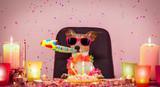 Fototapeta Psy - happy birthday dog