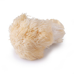 Yamabushitake mushroom or lion mane mushroom isolated over white background.