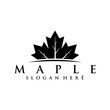 maple logo concept design vector