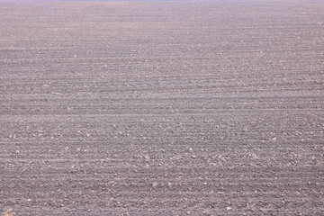 Soil background with natural brown organic texture