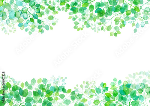 木漏れ日のフレームデザイン 新緑の枝葉の水彩イラスト Stock イラスト Adobe Stock