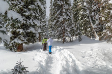 Snowshoeing In Colorado 
