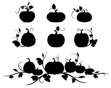 Pumpkin. Black Silhouette. Vector Illustration