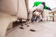 © Elnur - Pest control contractor working in the flat