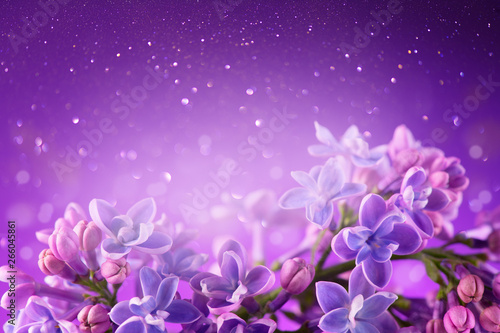 Dekoracja na wymiar  bukiet-kwiatow-bzu-fioletowe-tlo-projektu-piekne-fioletowe-kwiaty-bzu-zblizenie
