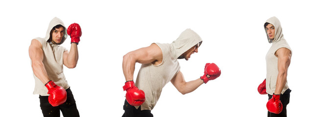 Wall Mural - Boxing concept with young sportsman