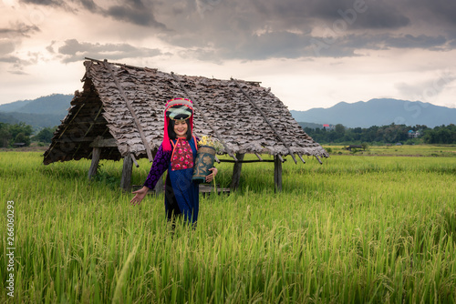 Plakat Portrait of Woman Tribal Lisu in Traditional Clothing in Rice Fields, Tribes Lisu Wearing Beautiful Tradition Clothes and Stand Posing in The Rice Terrace. Cultural Lifestyle of Hill Tribe Woman