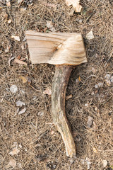 fake wood ax on the needles