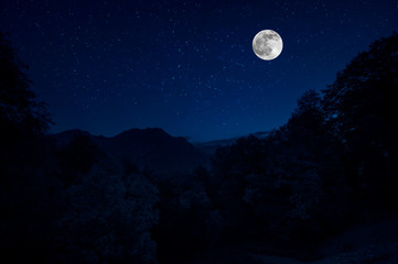 Mountain Road through the forest on a full moon night. Scenic night landscape of country road at night with large moon. Selective focus