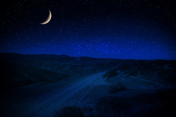 Wall Mural - mountain road through the forest on a full moon night. scenic night landscape of country road at nig