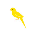Canary bird. Vector