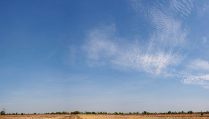 Wall Mural - panorama air clouds in the blue sky.fluffy clouds white in blue sky.